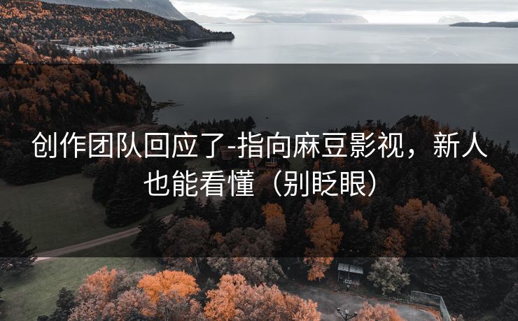 创作团队回应了-指向麻豆影视，新人也能看懂（别眨眼）