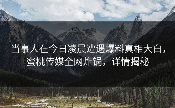 当事人在今日凌晨遭遇爆料真相大白，蜜桃传媒全网炸锅，详情揭秘