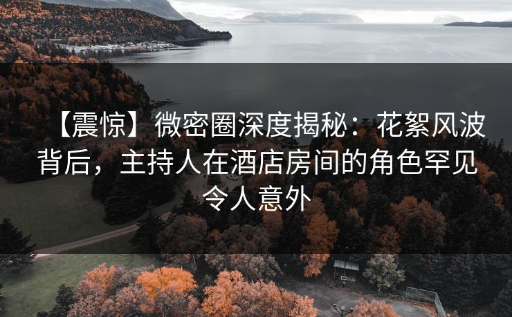 【震惊】微密圈深度揭秘：花絮风波背后，主持人在酒店房间的角色罕见令人意外